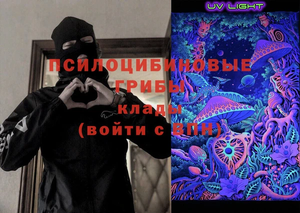 стаф Заводоуковск