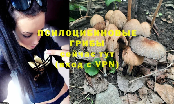 мяу мяу мука Заволжск