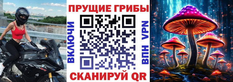 Галлюциногенные грибы MAGIC MUSHROOMS  Купить где  Спас-Деменск 